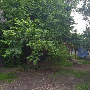 Продается Участок, 290 м²