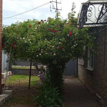 Продается Участок, 290 м²