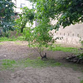 Продается Участок, 290 м²