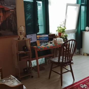 Сдается Комната, 12 м²