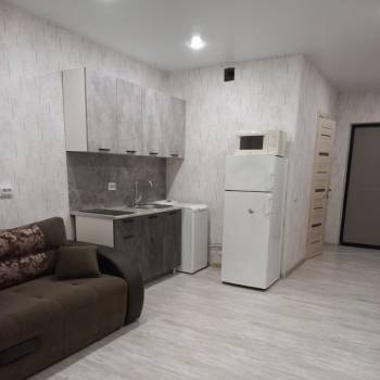 Сдается 1-комнатная квартира, 24,1 м²