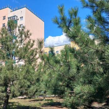 Продается 1-комнатная квартира, 42 м²