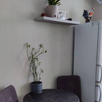 Сдается 2-х комнатная квартира, 50 м²