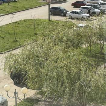 Сдается 1-комнатная квартира, 29,3 м²