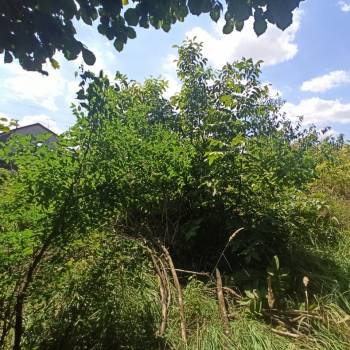 Продается Дом, 12 м²