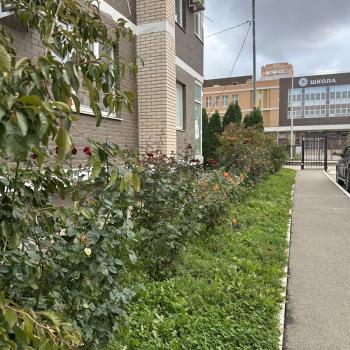 Продается 1-комнатная квартира, 46 м²