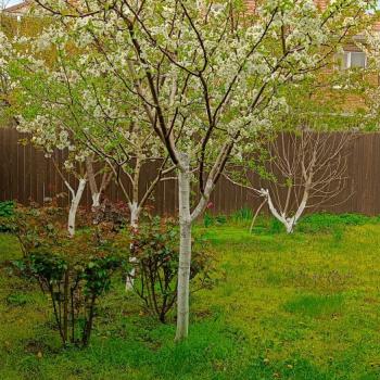 Продается Дом, 130 м²