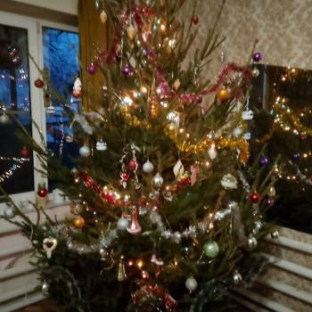 Сдается Комната, 30 м²