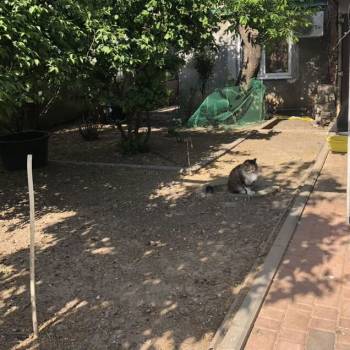 Продается Участок, 470 м²