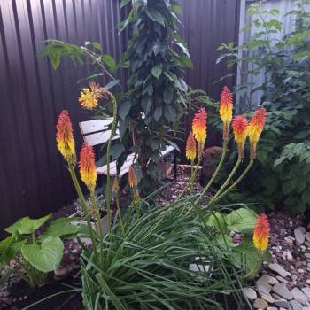 Продается Дом, 150 м²