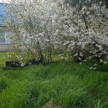 Продается Дом, 98 м²