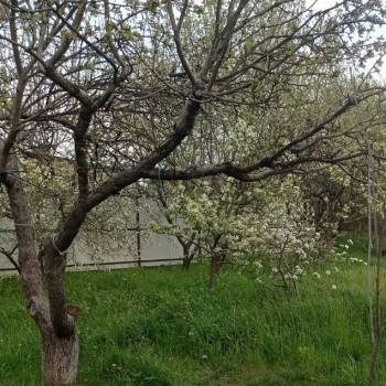 Продается Дом, 98 м²