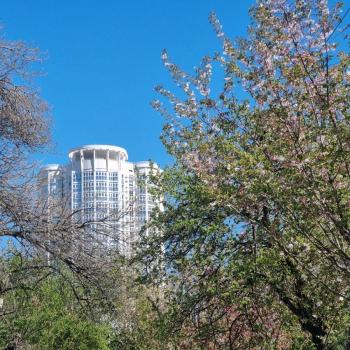 Продается 1-комнатная квартира, 52,21 м²