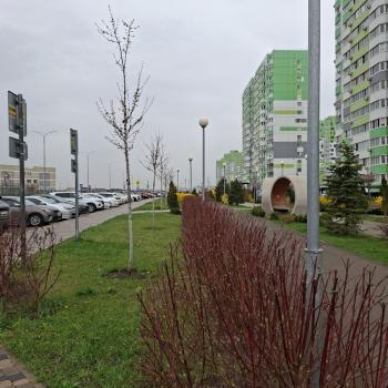 Сдается 1-комнатная квартира, 37 м²