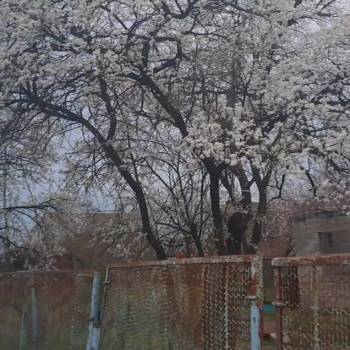 Продается Участок, 420 м²