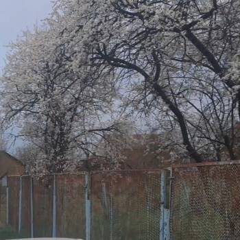 Продается Участок, 420 м²