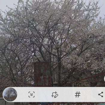 Продается Участок, 420 м²