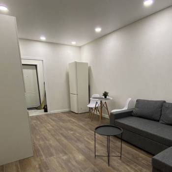 Сдается 1-комнатная квартира, 27,6 м²