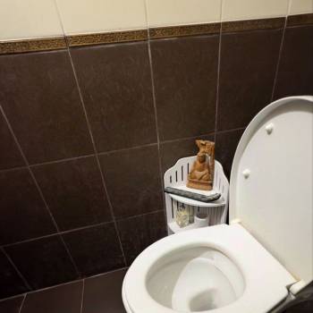 Сдается 2-х комнатная квартира, 56 м²