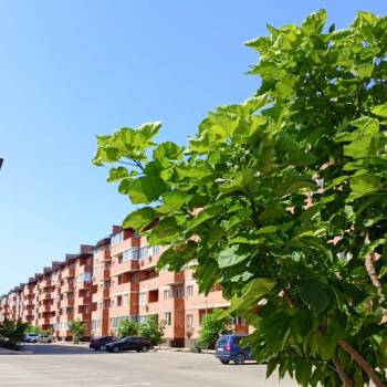 Сдается 1-комнатная квартира, 35 м²