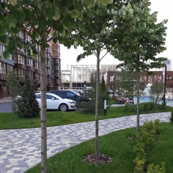 Сдается 2-х комнатная квартира, 38 м²