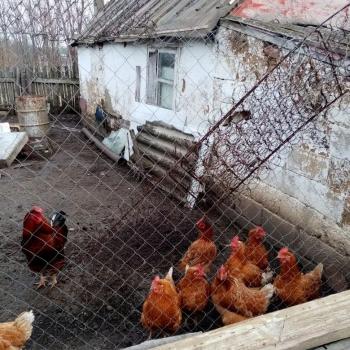 Продается Дом, 50 м²