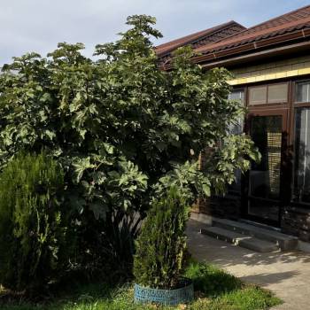Продается Дом, 145 м²