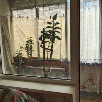 Продается 1-комнатная квартира, 28,6 м²