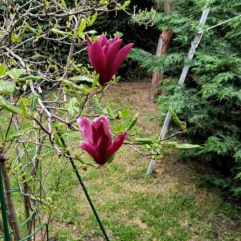 Продается Дом, 123 м²