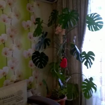 Продается 1-комнатная квартира, 35,1 м²