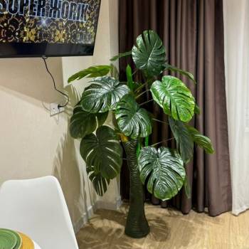 Сдается 1-комнатная квартира, 27 м²