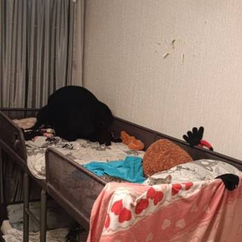 Сдается Комната, 0 м²