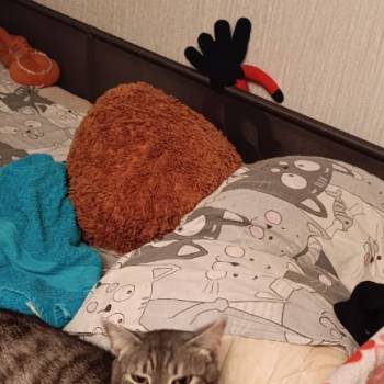 Сдается Комната, 0 м²