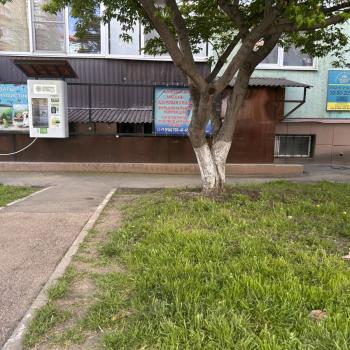Сдается 2-х комнатная квартира, 57 м²