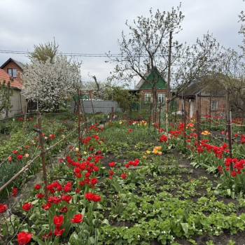 Продается Участок, 600 м²