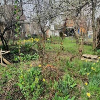Продается Участок, 300 м²