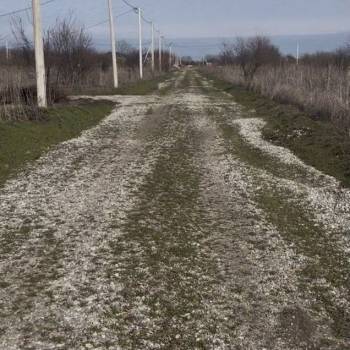 Продается Участок, 1000 м²