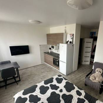 Продается 1-комнатная квартира, 26,7 м²