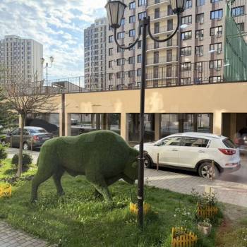 Сдается 2-х комнатная квартира, 50 м²