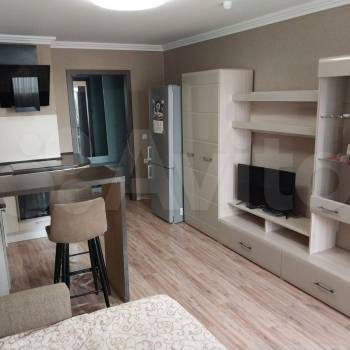 Сдается 1-комнатная квартира, 23,6 м²