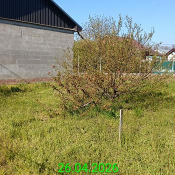 Продается Участок, 700 м²