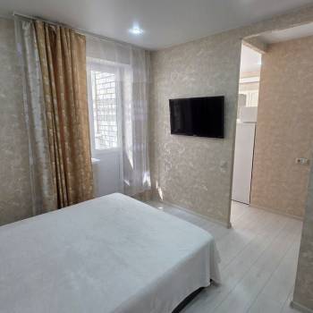 Продается 1-комнатная квартира, 24,6 м²