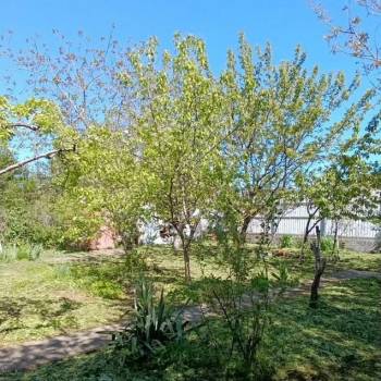 Продается Участок, 480 м²