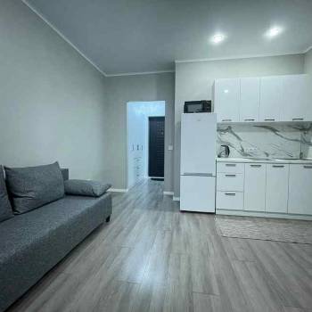 Сдается 1-комнатная квартира, 23,9 м²