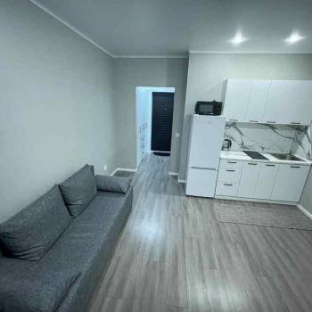 Сдается 1-комнатная квартира, 23,9 м²