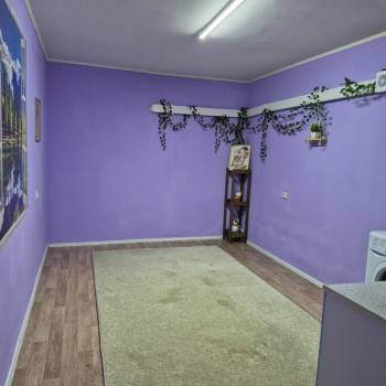 Продается 1-комнатная квартира, 17,5 м²
