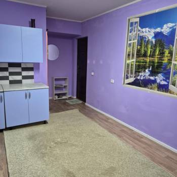 Продается 1-комнатная квартира, 17,5 м²