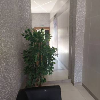 Сдается 2-х комнатная квартира, 44,4 м²