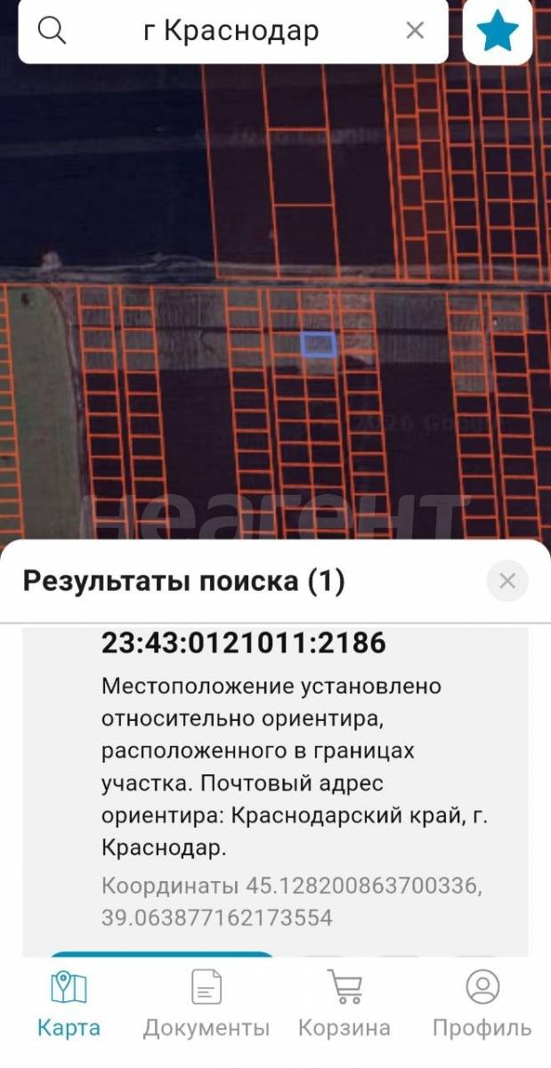 Фотография №3