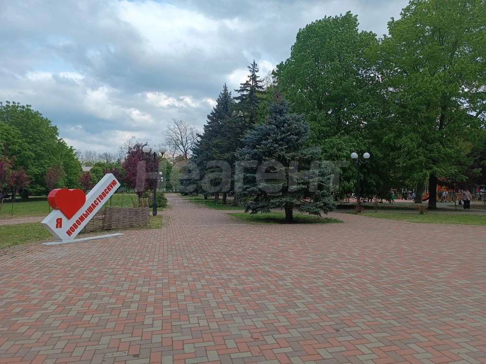Фотография №6